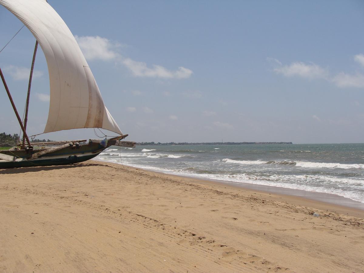 The Icebear Guesthouse Negombo Exterior photo
