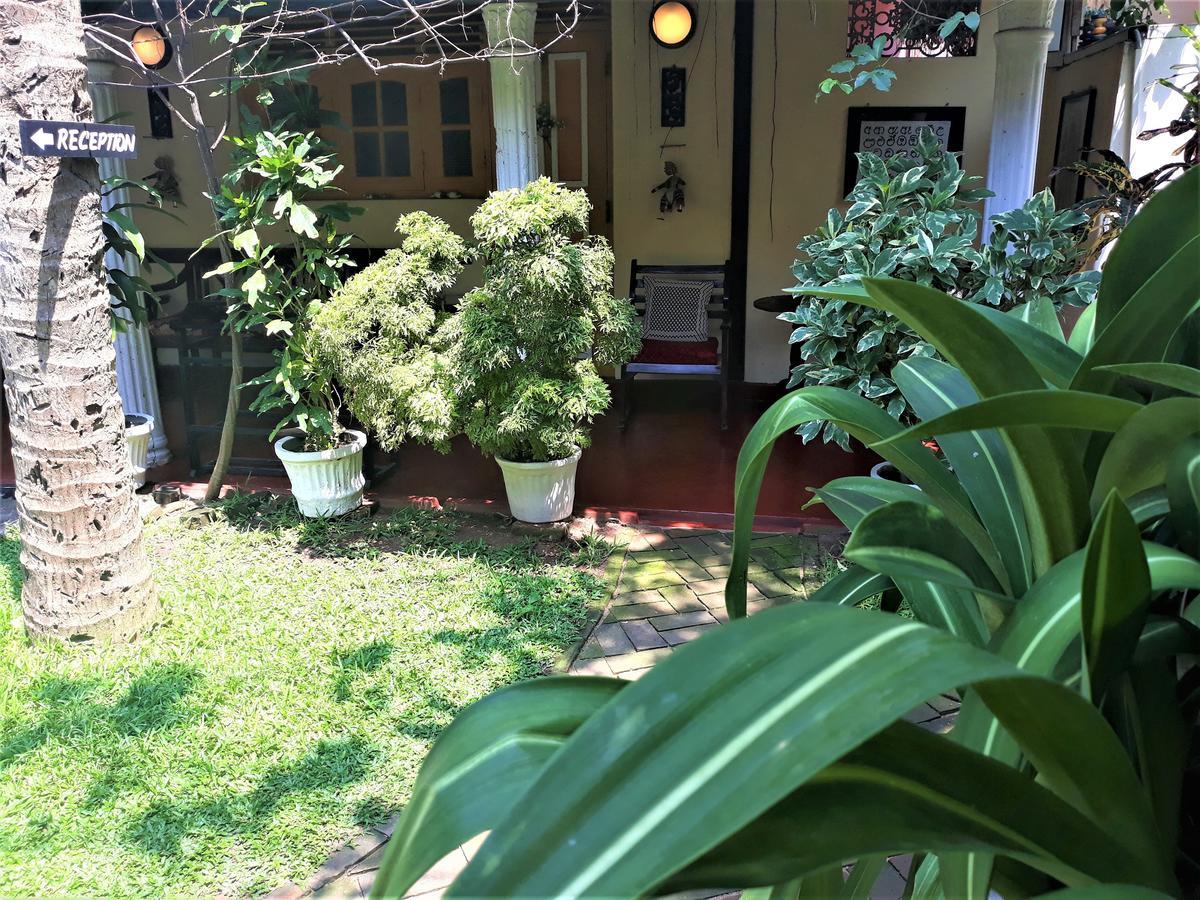 The Icebear Guesthouse Negombo Exterior photo