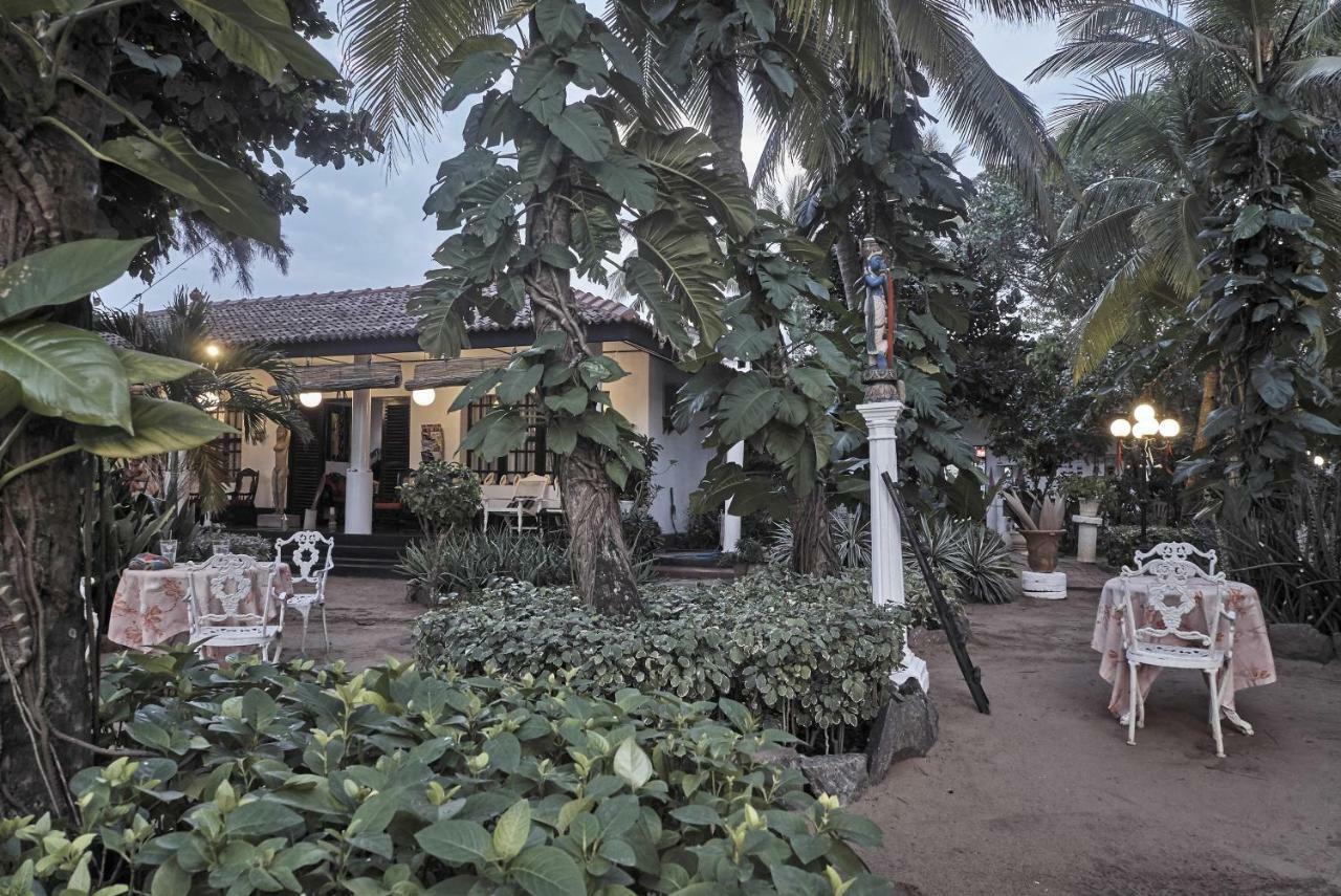 The Icebear Guesthouse Negombo Exterior photo